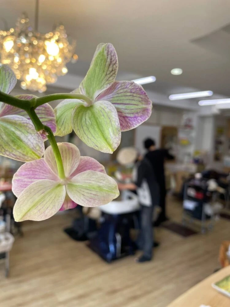 ブログ